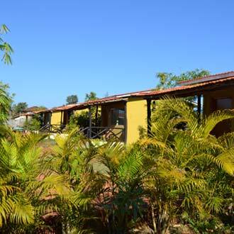 Kanha Treasure Inn Forest, Kanha 1